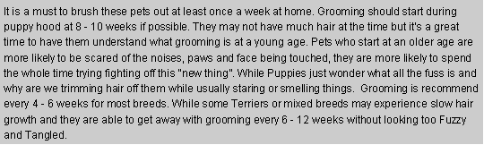 Text Box: It is a must to brush these pets out at least once a week at home. Grooming should start during puppy hood at 8 - 10 weeks if possible. They may not have much hair at the time but it’s a great time to have them understand what grooming is at a young age. Pets who start at an older age are more likely to be scared of the noises, paws and face being touched, they are more likely to spend the whole time trying fighting off this “new thing”. While Puppies just wonder what all the fuss is and why are we trimming hair off them while usually staring or smelling things.  Grooming is recommend  every 4 - 6 weeks for most breeds. While some Terriers or mixed breeds may experience slow hair growth and they are able to get away with grooming every 6 - 12 weeks without looking too Fuzzy and Tangled. 